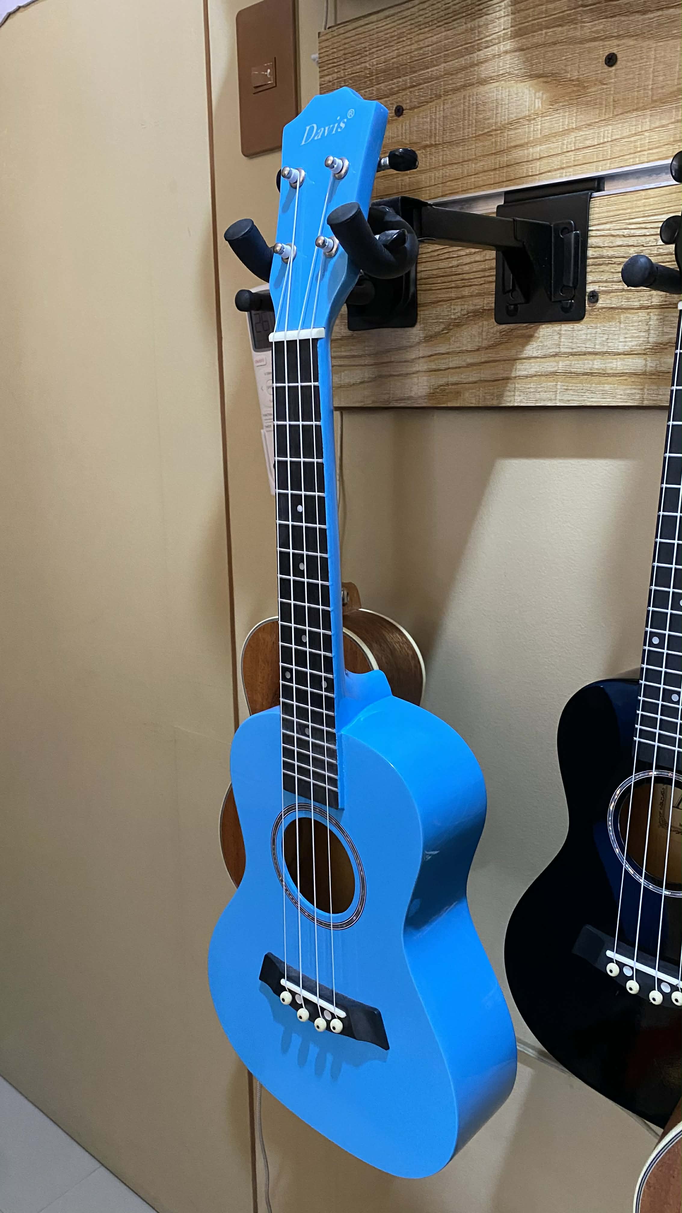 Davis Concert Ukulele (Cyan Blue)